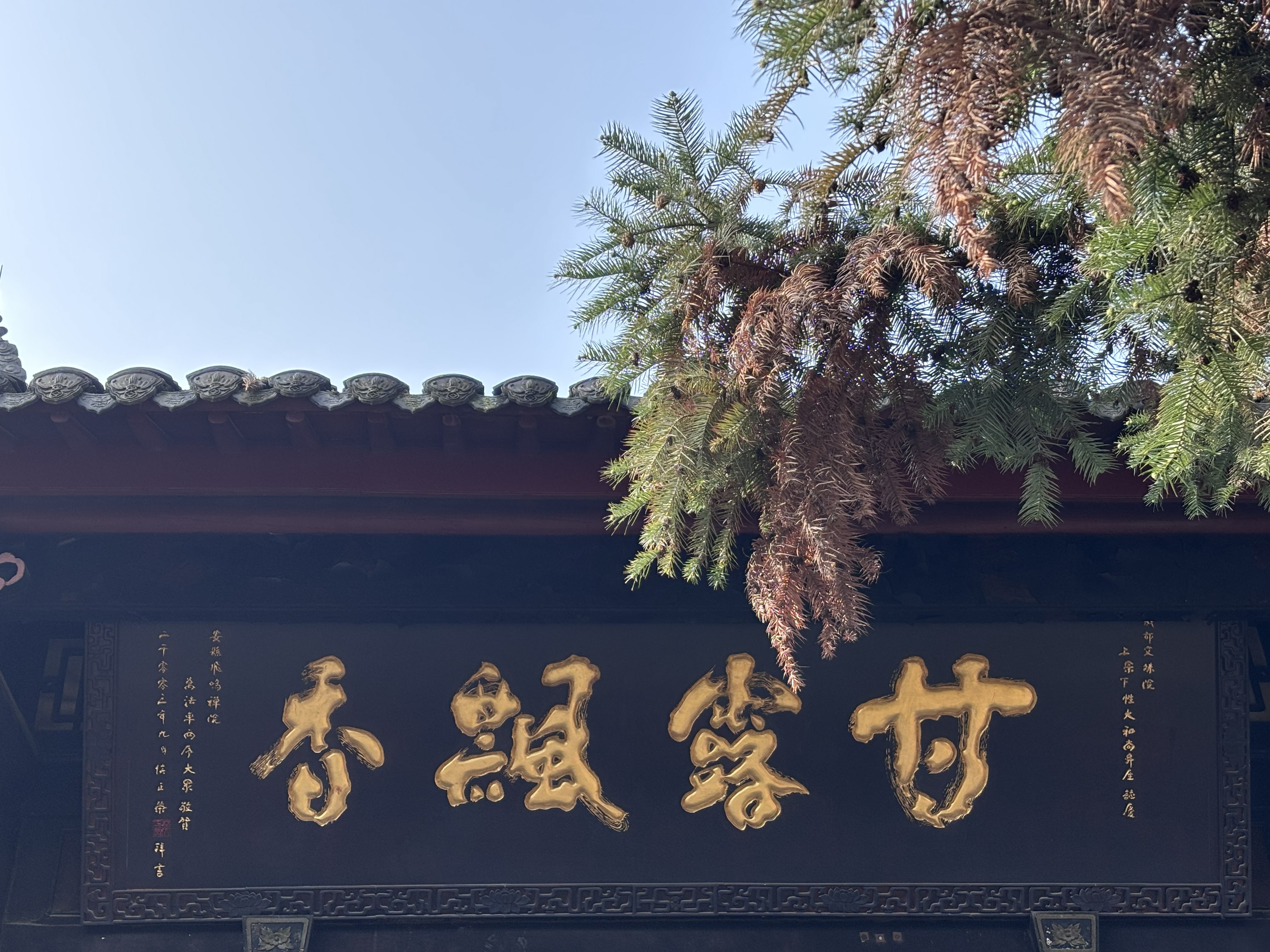 Wenshu Monastery ＆ Tea tasting — photo 2
