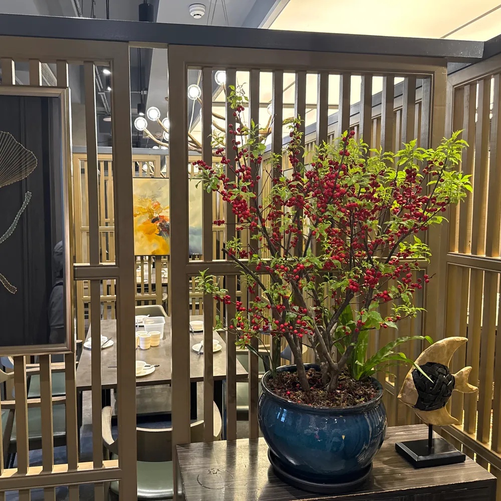 Furonghuang & West Village — photo 17
