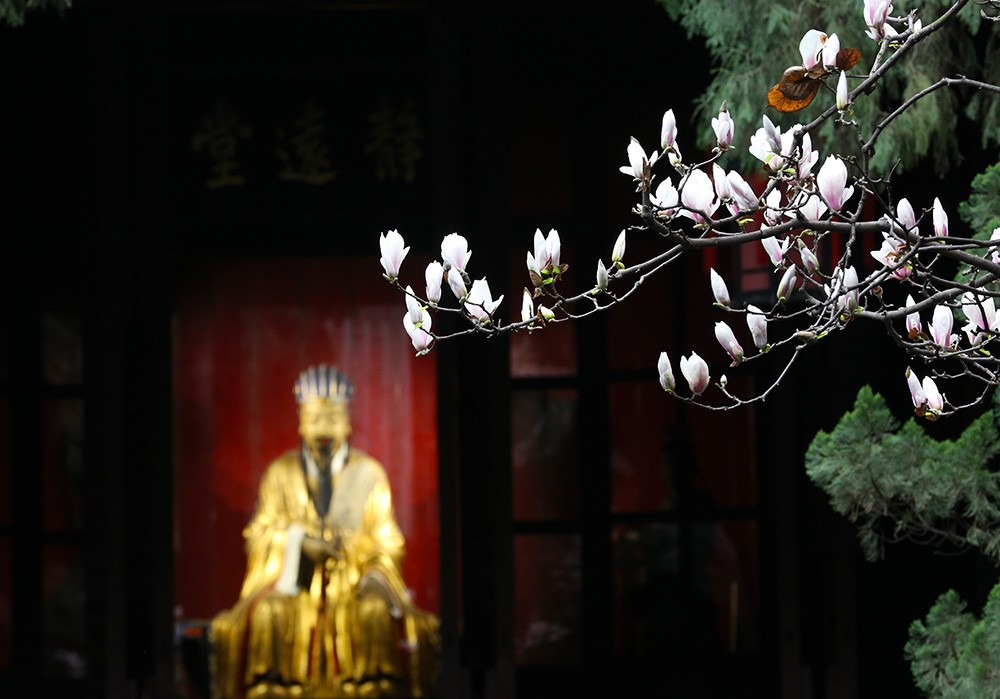 Wuhou Shrine & Du Fu Thatched Cottage Route — photo 2