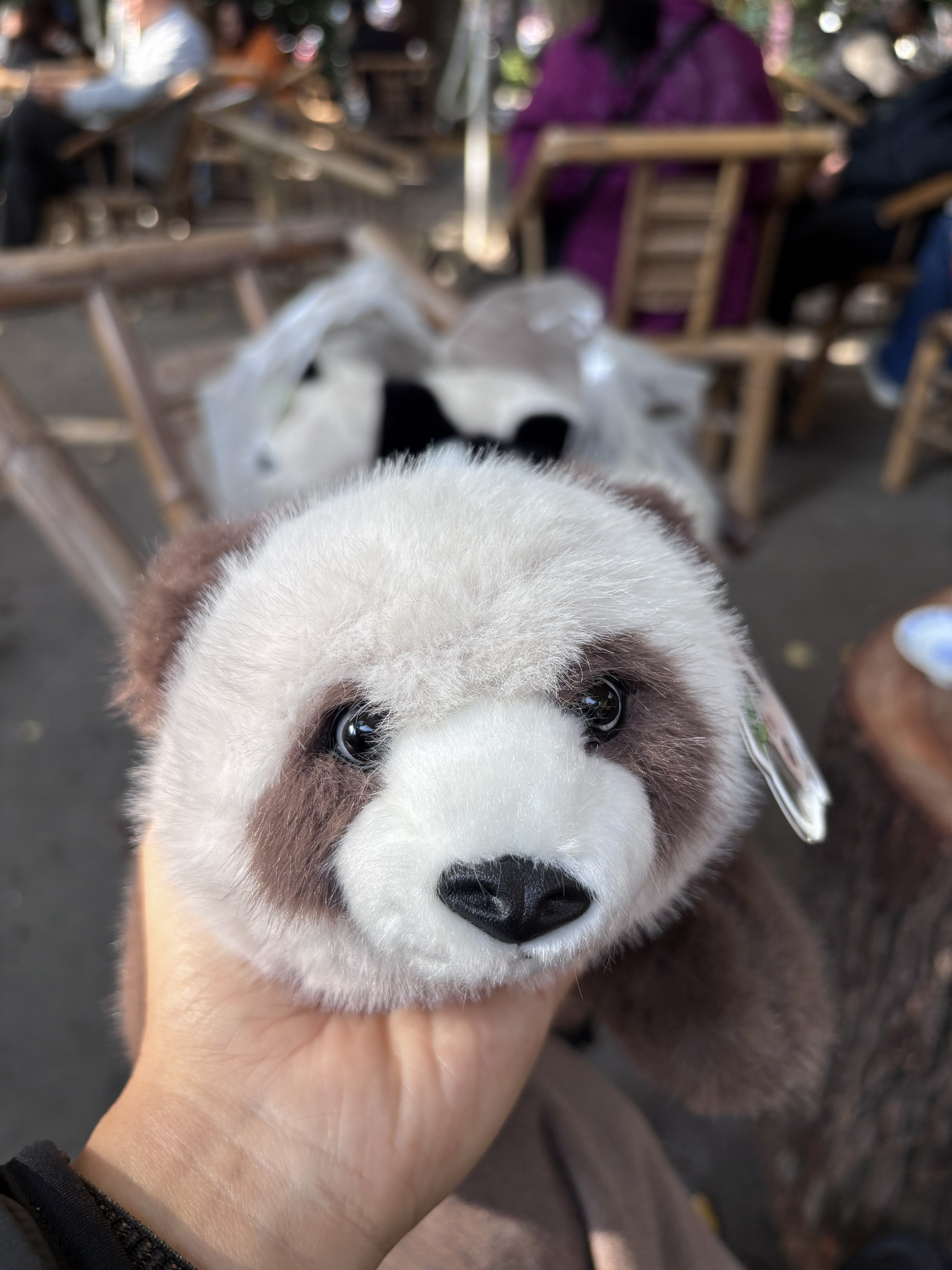 Wenshu Monastery ＆ Tea tasting — photo 4