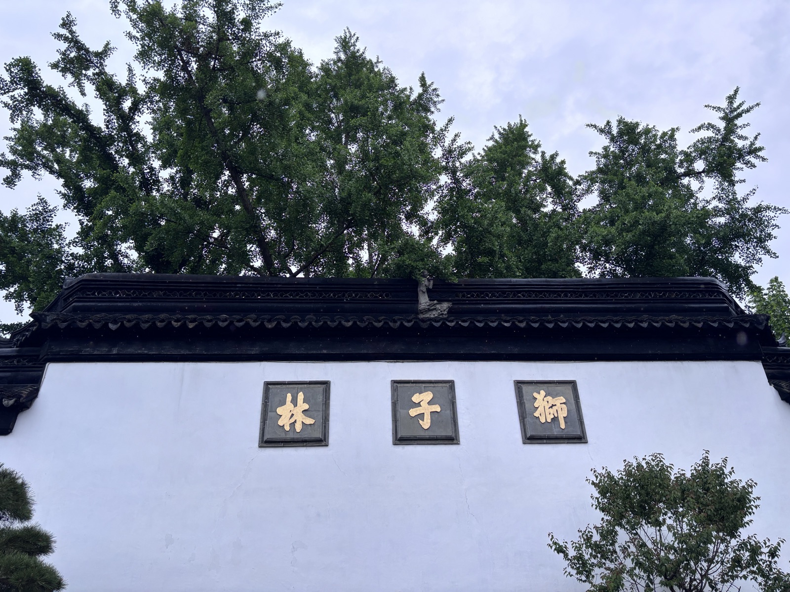 Lion Grove Garden